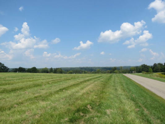 LOT 32 STATE ROUTE 86, SAEGERTOWN, PA 16433 - Image 1