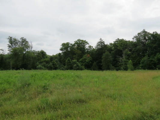 LOT 1 MEADOW DRIVE, SAEGERTOWN, PA 16433, photo 2 of 16